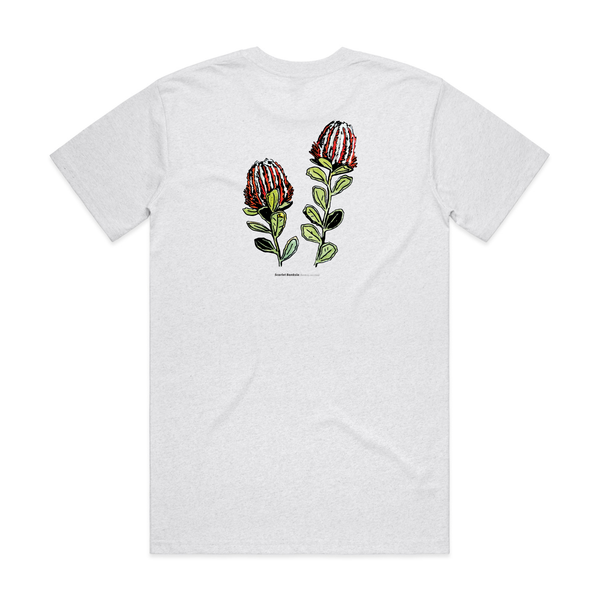 Banksia coccinea Tee