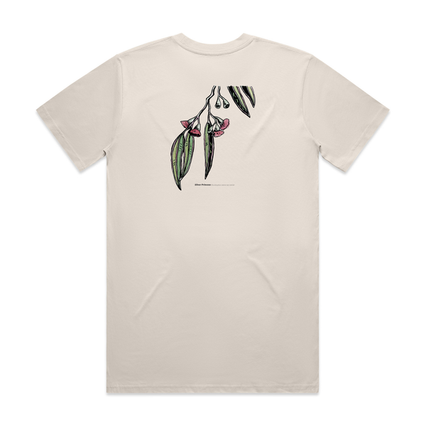 Eucalyptus caesia Tee